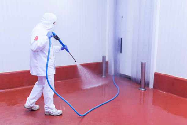 Best Patio and Deck Pressure Washing  in Fort Pierre, SD